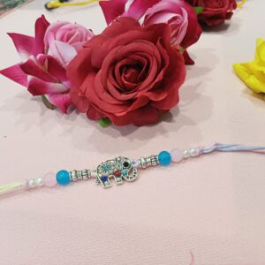 rakhi 11 (copy)